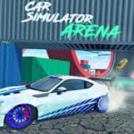 car-simulator-arena