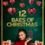 12 Baes of Christmas