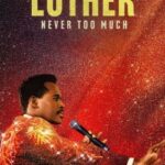 luther-never-too-much