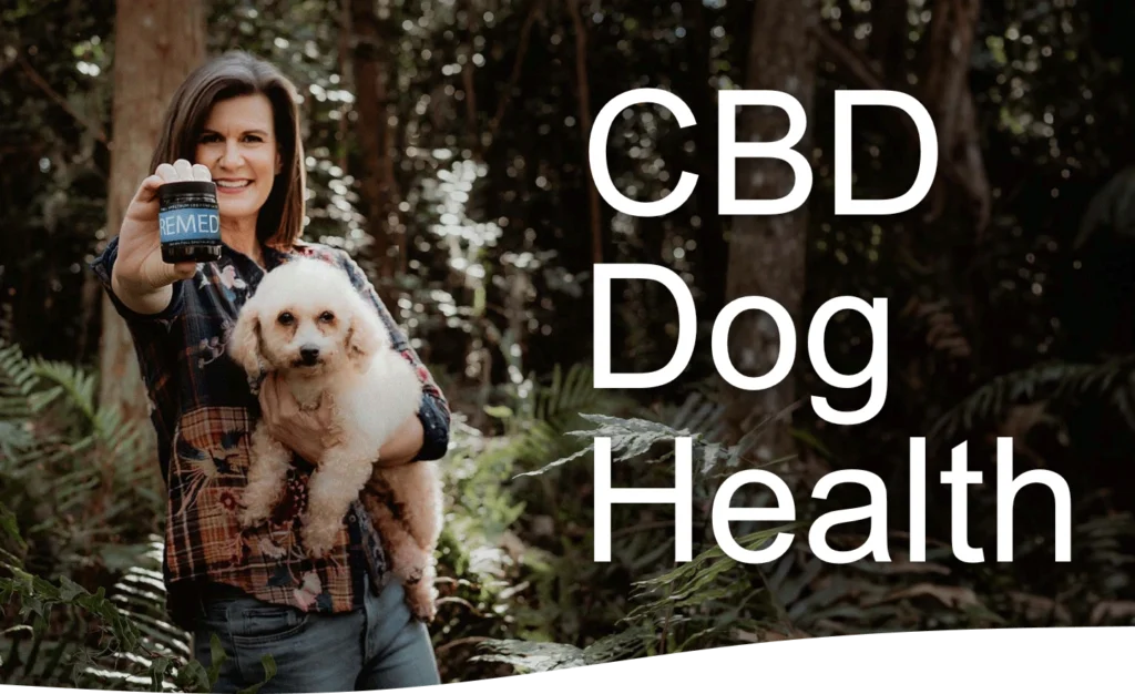 CBD dog health