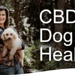 CBD dog health
