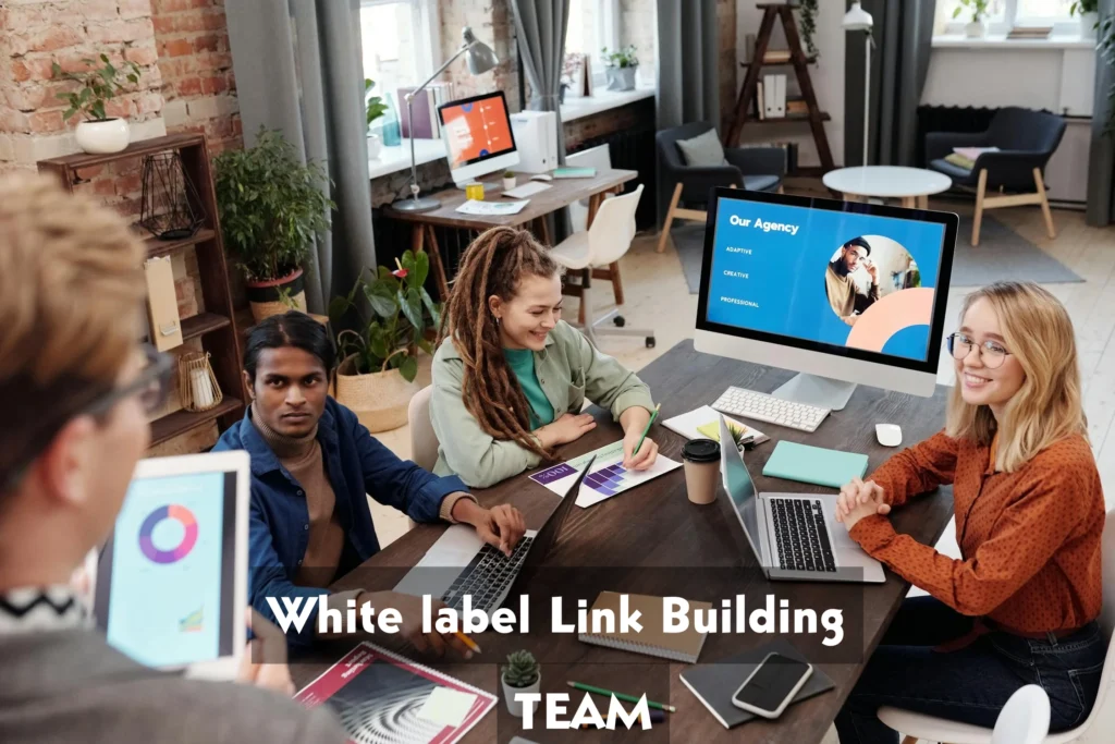 white label link building