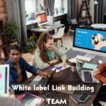 white label link building