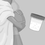 Can Sperm Near the Vagina Cause Pregnancy Medical Facts